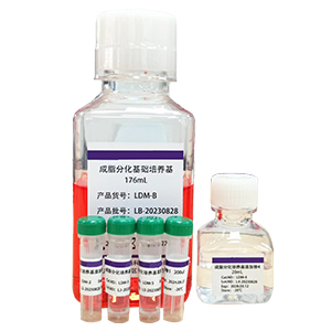 成脂诱导分化培养基