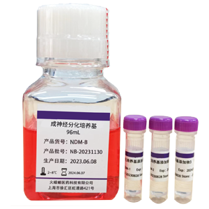 成神经诱导分化培养基